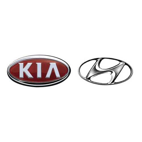 Форсунка омывателя Hyundai-KIA 986303K500 в Лукойл